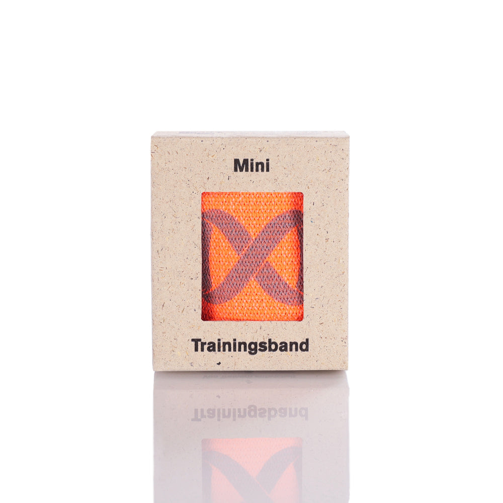 FLEXVIT Mini - advanced (Anthracite - 5/6) in the Christmas packaging