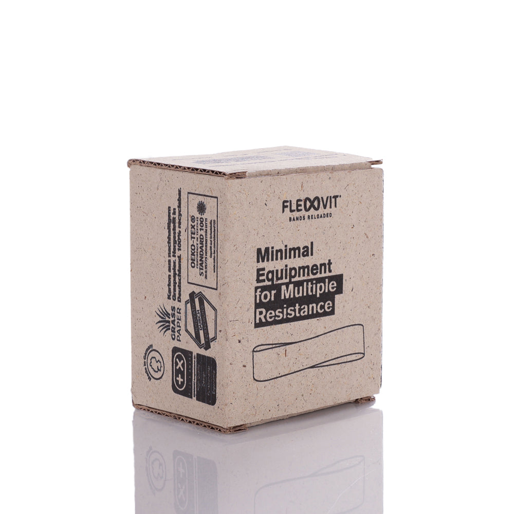 FLEXVIT Mini - advanced (Anthracite - 5/6) in the Christmas packaging