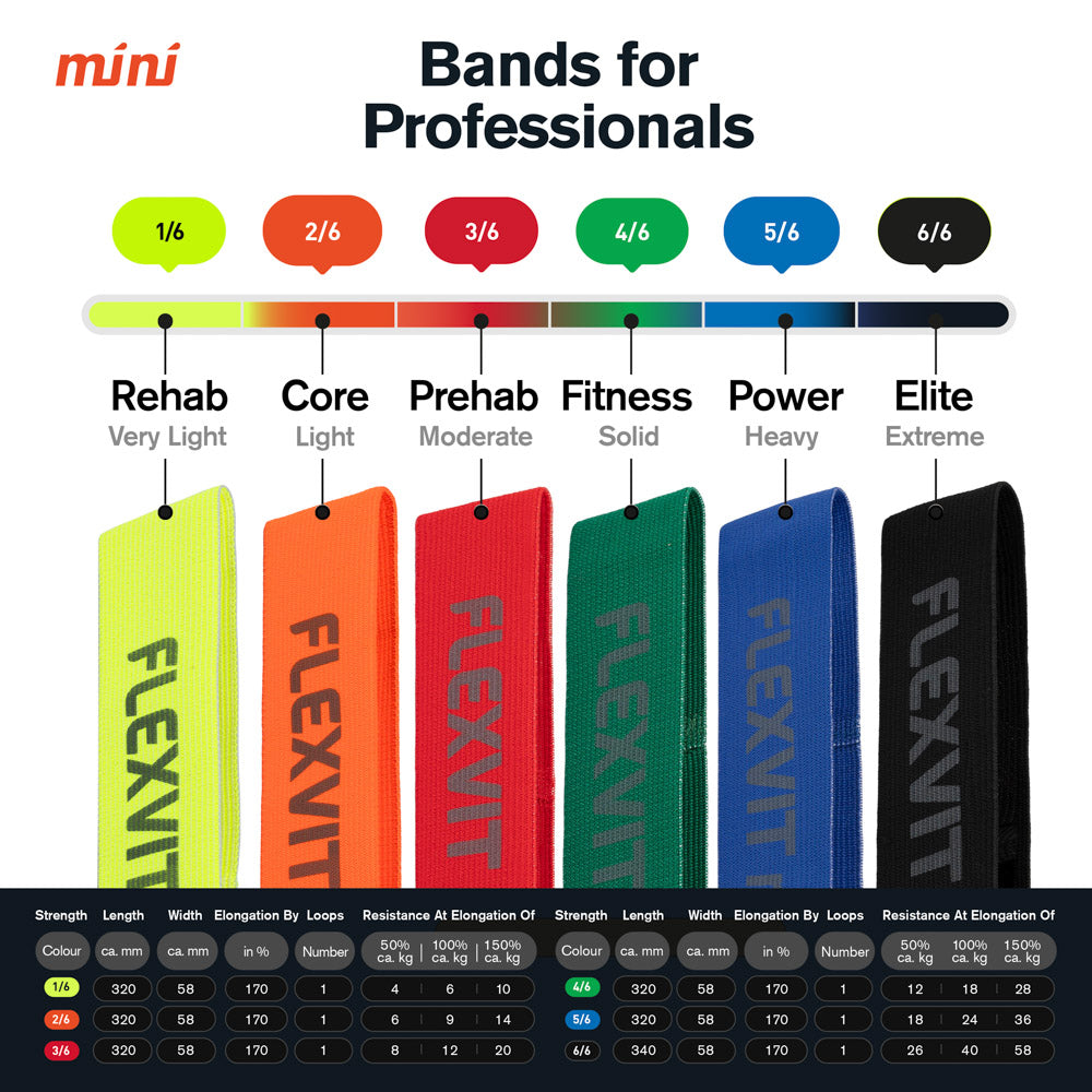 FLEXVIT MINI 使用イメージ 2
